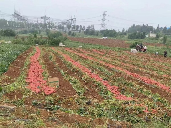 微信图片_20231206095846